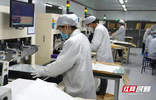 電子工匠展風采，勞務品牌促發展——冷水灘區以專業勞務品牌助力就業與產業雙贏